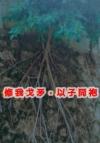 十三区